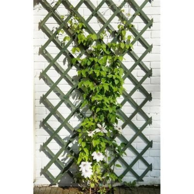 NATURE Treillis extensible en bois color&eacute; vert - 50 x 150 cm - 