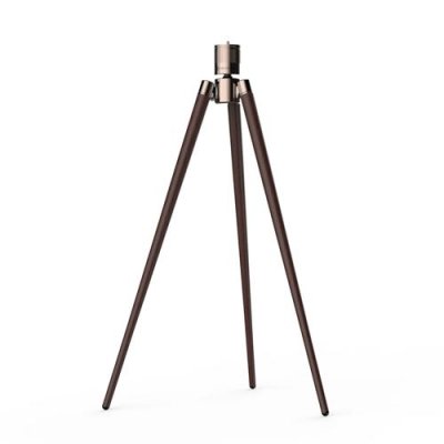 VALERION Tr&eacute;pied pour vid&eacute;oprojecteur  WTS-01 Dor&eacute; et bois