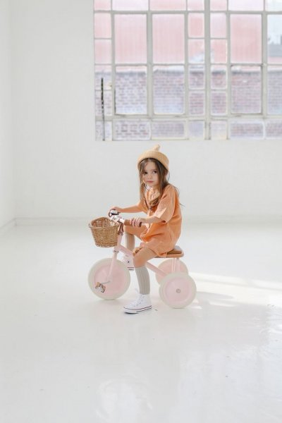 BANWOOD Tricycle - Rose poudr&eacute; - 