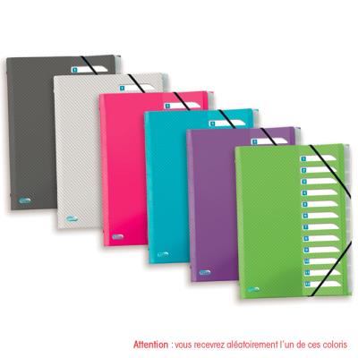 GENERIQUE Trieur Elba Hawai en format A4 comprenant 12 positions assortis