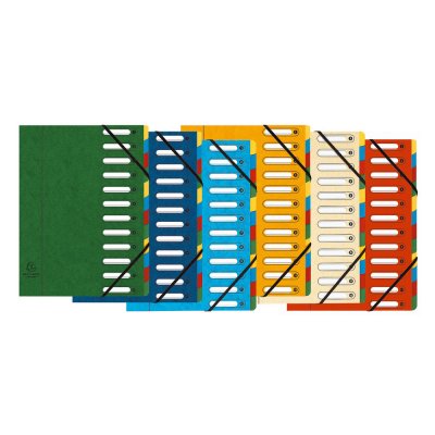 EXACOMPTA Trieur  &agrave; fen&ecirc;tres Harmonika 12 compartiments Coloris assortis