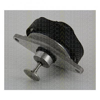 TRISCAN  Can 8813&nbsp;24202&nbsp;agr de valves