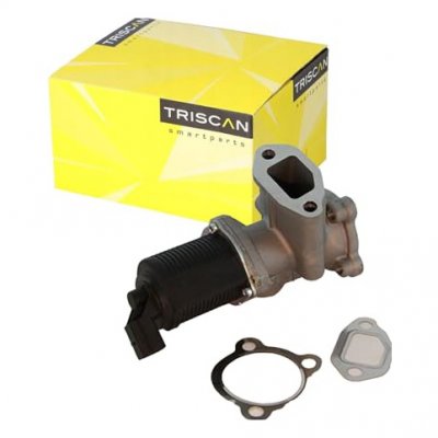 TRISCAN  Vanne EGR / AGR 8813 10003