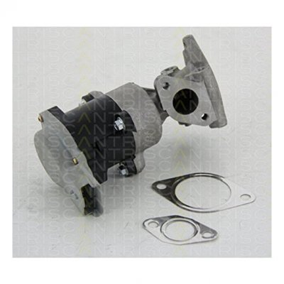 TRISCAN  Vanne EGR / AGR 8813 10008