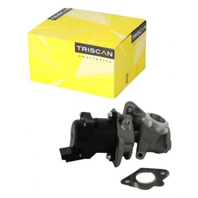 TRISCAN  Vanne EGR / AGR 8813 10010