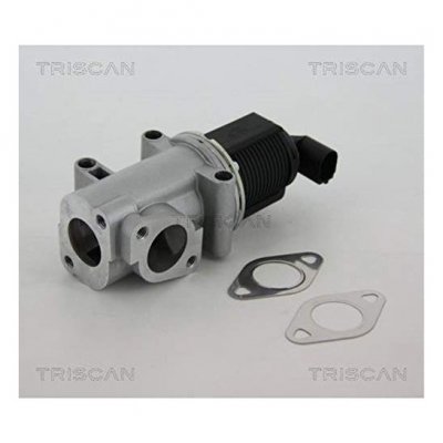 TRISCAN  Vanne EGR / AGR 8813 10015