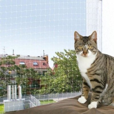 TRIXIE  - 44343 - Filet de protection - Transparent - 8 x 3 m