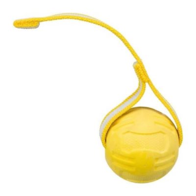 TRIXIE  Balle Sporting avec sangle &oslash; 6 cm / 20 cm - Bleu - Pour chien