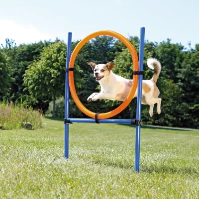 TRIXIE  Dog Activity Anneau Agilit&eacute; 115 x 3 cm / 65 cm Orange / Bleu