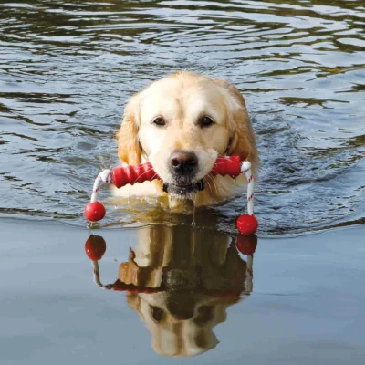 TRIXIE  Dog Activity Mot-Long Flottant 20 cm - Coloris al&eacute;atoire