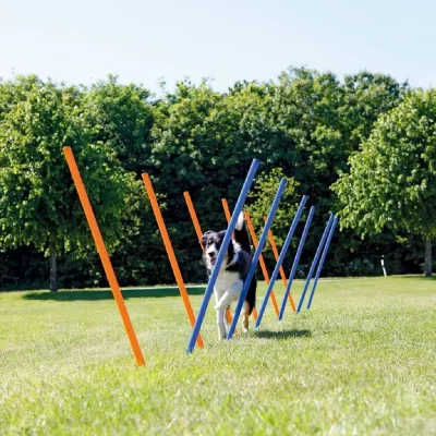 TRIXIE  - Dog Activity Slalom Agility jeu chien