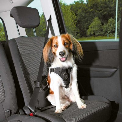 TRIXIE  Dogprotect Harnais De S&eacute;curit&eacute;, Sm, 40-55Cm / 20Mm Black