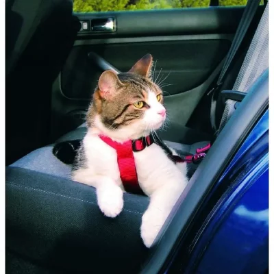 TRIXIE  Harnais pour Voiture pour Chat Rouge 20-50 cm/15 mm