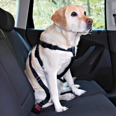 TRIXIE  Harnais Voiture de S&eacute;curit&eacute; pour Animaux Taille Medium 50-70 cm
