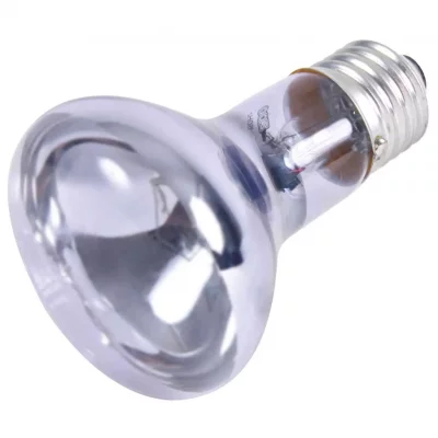 Trixie - Lampe spot neodymium &agrave; chaleur &oslash; 63 &times; 100 mm, 35 w