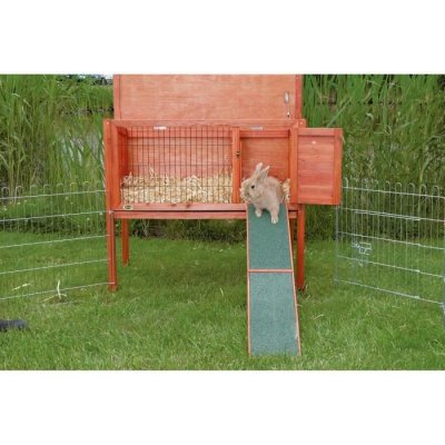 TRIXIE  Natura Rampe en Bois pour Cages Rongeur, 20 &times; 50 cm