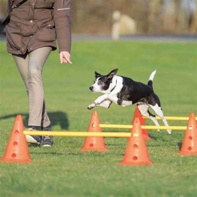 TRIXIE  Obstacle Set &Oslash;30 X 50 X 100 Cm Multicolore