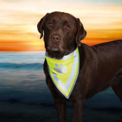 MON ANIMALERIE Trixie Reflective Safety Scarf 43-60 cm