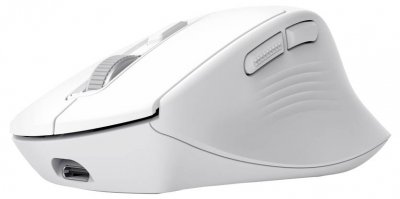 TRUST  Niven Mouse Ufficio Mano Destra Rf Senza Fili + Bluetooth 3200 Dpi