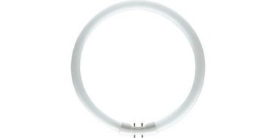OSRAM Tube fluorescent  2GX13 40 W blanc chaud forme d'anneau 1 pc(s)