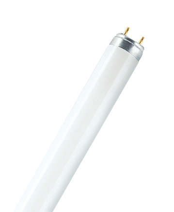 OSRAM Tube fluorescent  G5 8 W blanc froid forme de tube 1 pc(s)