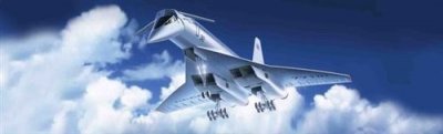 ICM Tupolev-144, Soviet Supersonic Passenger Aircraft- 1:144e - 