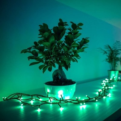 TWINKLY String 250 LED RGB 4,3mm Gen II - Edition multicolore - 20m
