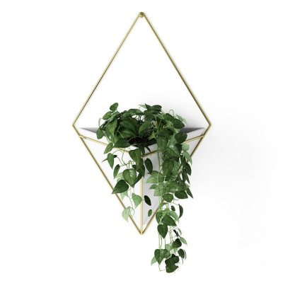 UMBRA  470752-524 Trigg Vase &agrave;&nbsp; Mur C&eacute;ramique Blanc