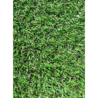 Un amour de tapis Citrolan - 200x300 cm - Vert