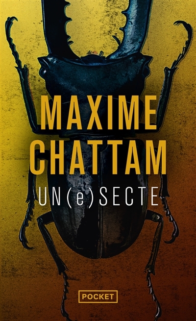 Un(e)secte - Chattam Maxime - Livres - Policier Thriller