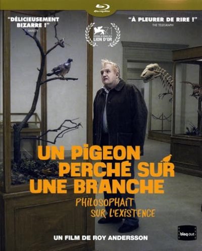 Un Pigeon perch&eacute; sur une branche philosophait sur l'existence Blu-ray