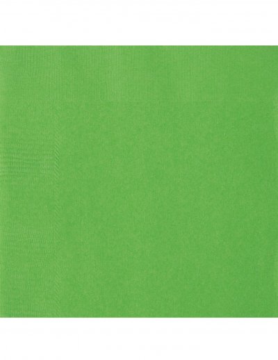 VEGAOOPRO Unique 20 Serviettes en Papier Vert Citron 33 x 33 cm