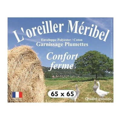DODO UNIVERSDECOR Oreiller Plumes 65 x 65 cm 
