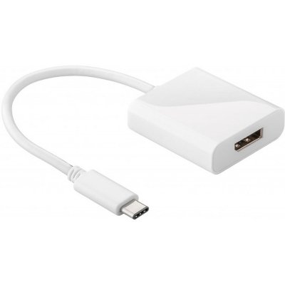 GENERIQUE Usb-c&acute; &agrave; l`adaptateur displayport 4040849662577