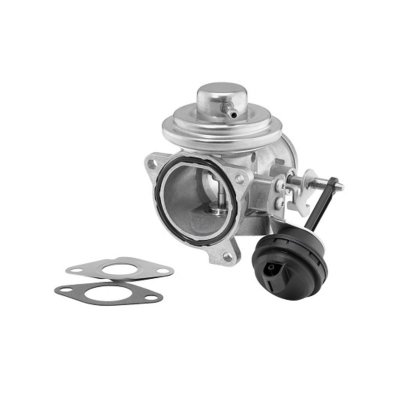 BORG WARNER Vanne EGR WAHLER 7293D