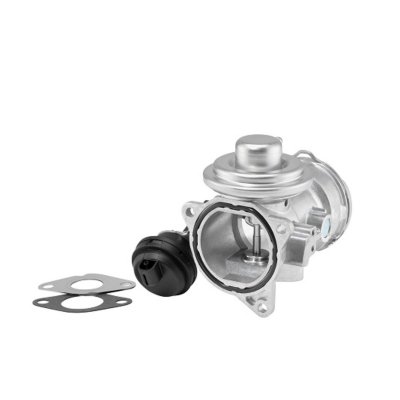 BORG WARNER Vanne EGR WAHLER 7372D
