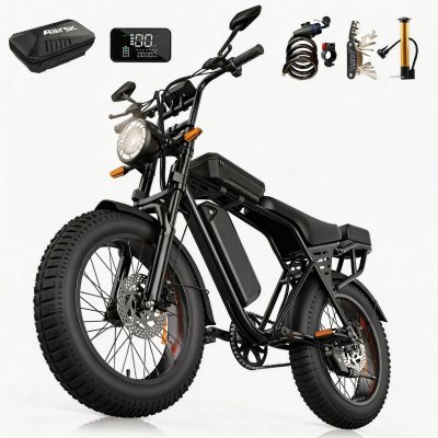 AAIRSK V&eacute;lo &eacute;lectrique Fatbike  X5 Noir 20 x 4.0 250W Batterie Amovible 48V 15Ah