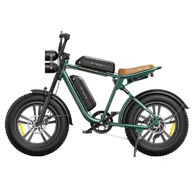 ENGWE V&eacute;lo Electrique M20 26AH 750W 1248WH Double batterie Autonomie 120KM Vert