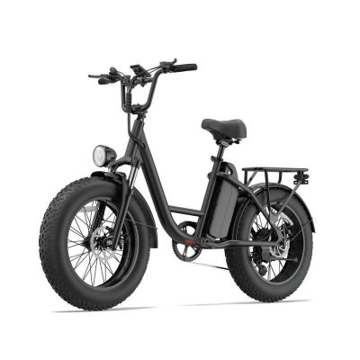URLIFE V&eacute;lo Electrique  E20 PRO 750W 48V15.6Ah 20"" Freins &agrave; Disque eBike - Noir