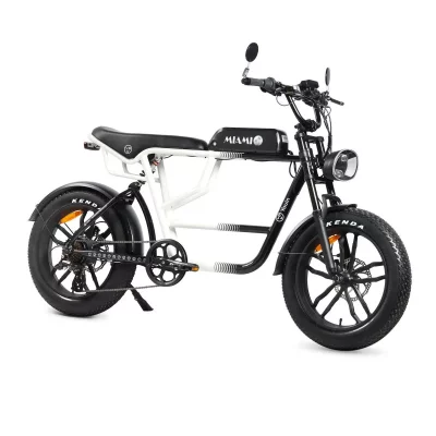 YOUIN V&eacute;lo &Eacute;lectrique  BK7000 MIAMI 250 W 20