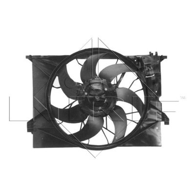 NRF Ventilateur de refroidissement du moteur  B.V. 47298