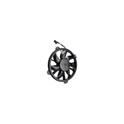 VALEO Ventilateur de refroidissement du moteur  696091