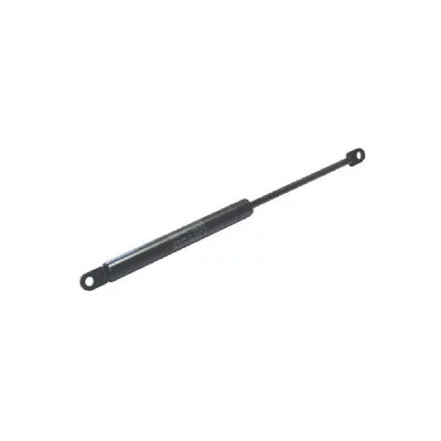 SCHOLTES Verin porte pour micro-onde indesit - 3381643