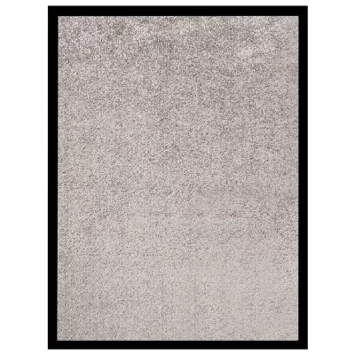 VIDAXL  - Paillasson Gris 40x60 cm Gris