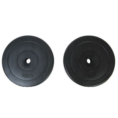 VIDAXL  plaques de poids 2 x 10 kg