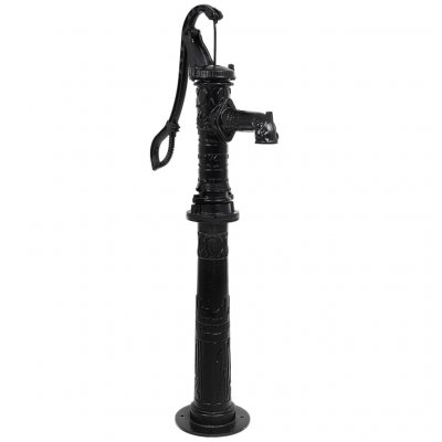 VIDAXL  - Pompe &agrave; eau de jardin avec support en fonte Noir