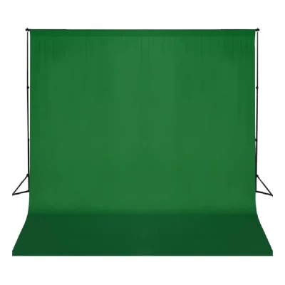 VIDAXL  syst&egrave;me de support de toile de fond 600 x 300 cm vert