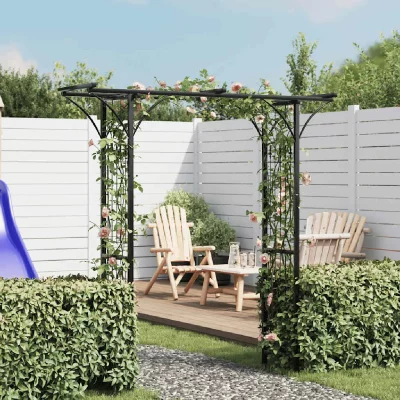 VIDAXL   Arche de jardin 200cm en hauteur