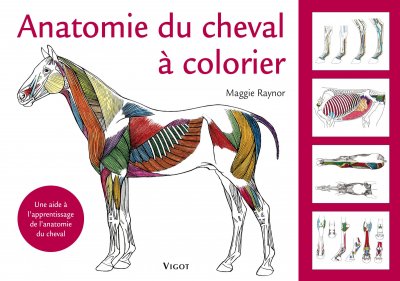 Vigot Horse Anatomy Coloring Page Book Dor&eacute;