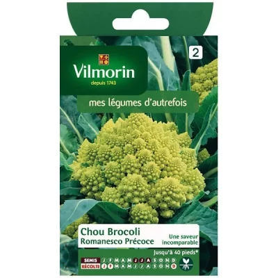 VILMORIN  3367142 Pack de Graines Chou Brocoli Romanesco Pr&eacute;coce